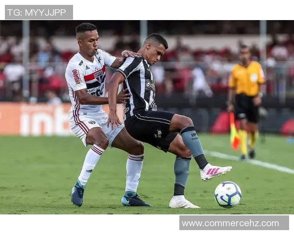 巴西联赛第五轮排名出炉，博塔弗戈登顶，沙佩科恩斯垫底